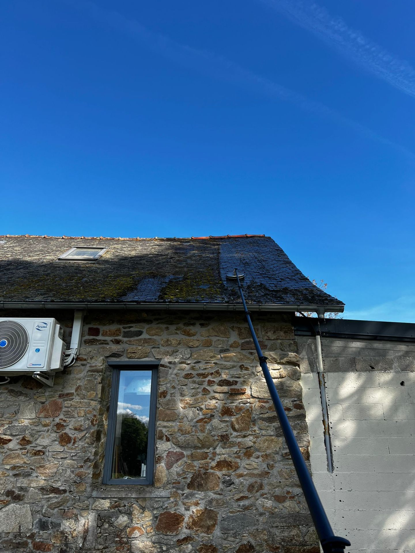 Toiture envahie par la mousse avant traitement